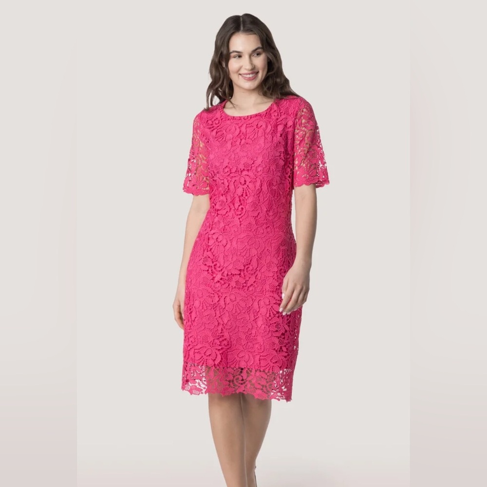 Nwt. Sharagano dress